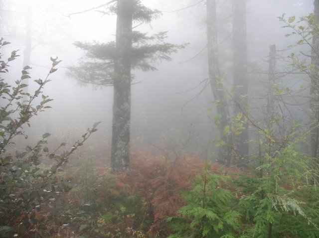 10.28.05 Devil's Rest 073 